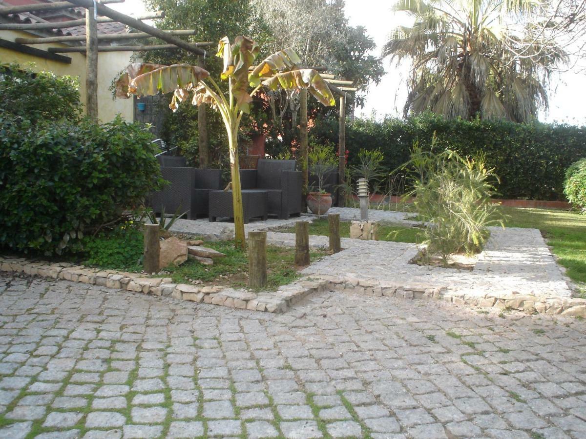 Quinta Da Sao Joao - Villa Oliveira Olhão Eksteriør bilde